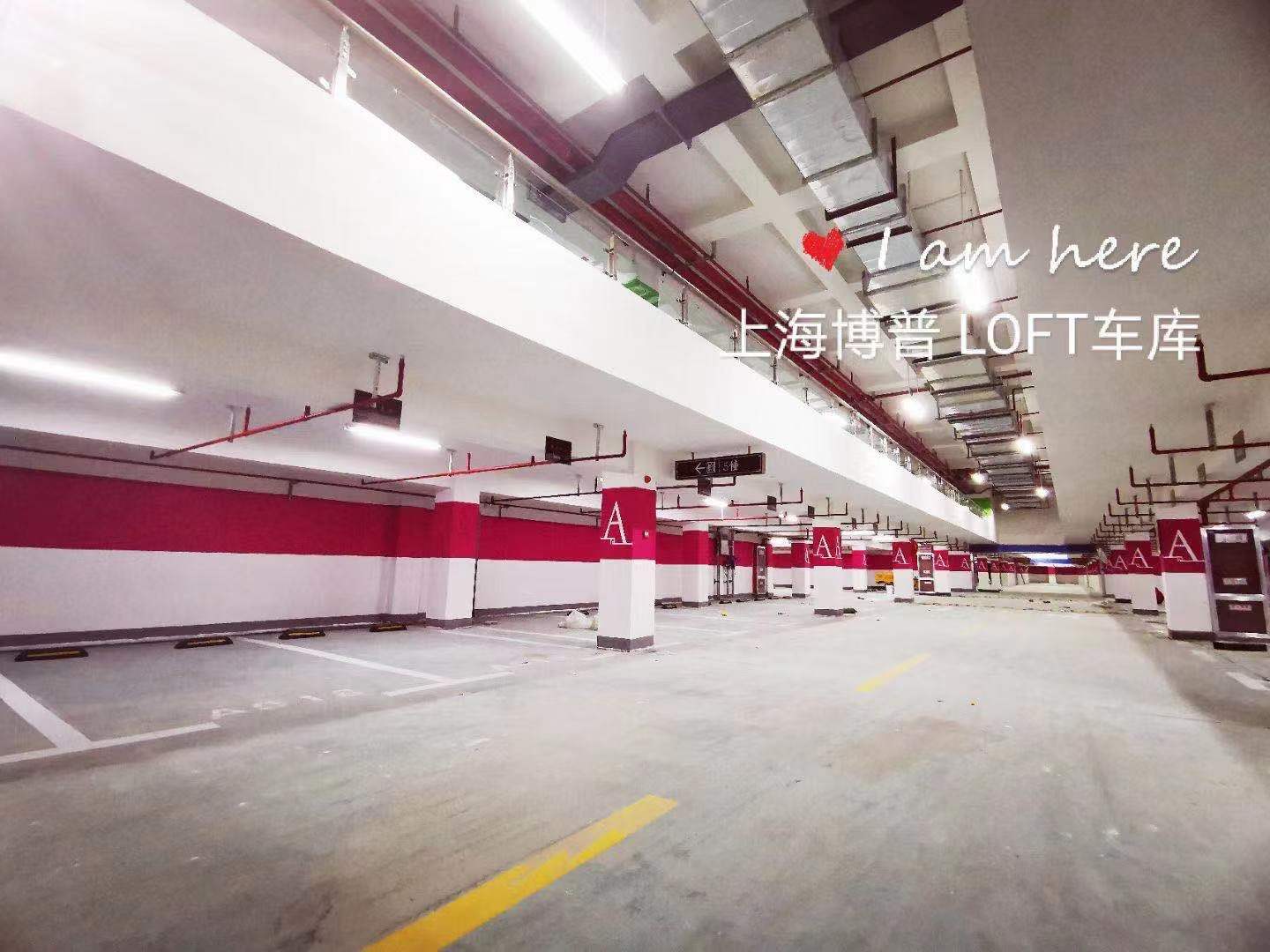 那曲已交竣的绿城豪华LOFT专利车库效果惊艳！